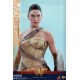 Wonder Woman Movie Masterpiece Action Figure 1/6 Wonder Woman Training Armor Version 29 cm